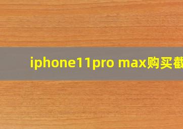 iphone11pro max购买截图